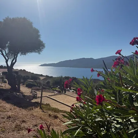 4 Personnes - Solea 233 - Vue Nature Apartment Serra-di-Ferro (Corsica)